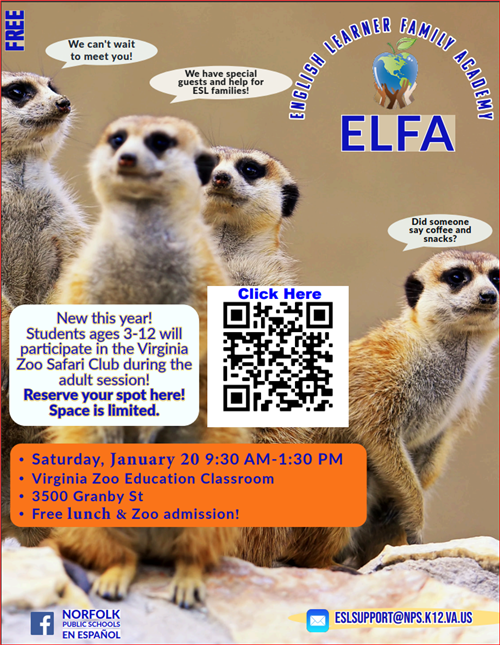 English Flyer